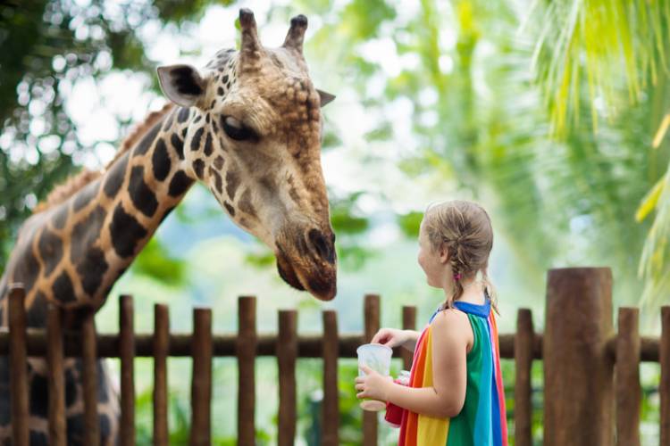 Things To Do ZooWorld Zoological and Botanical Conservatory